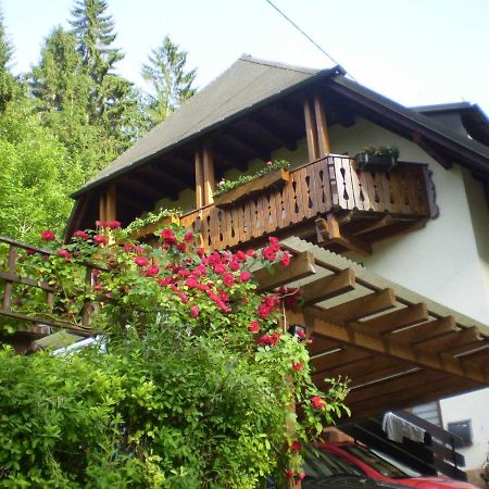 Апартаменты Haus Am Bach Фрайбург Экстерьер фото