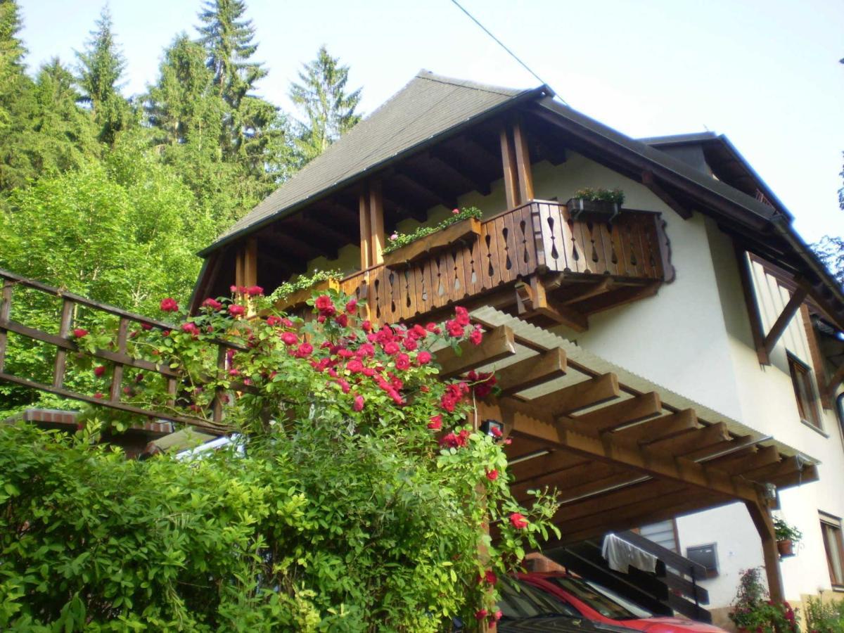 Апартаменты Haus Am Bach Фрайбург Экстерьер фото